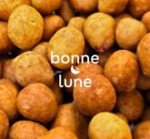 {{brizy_dc_image_alt imageSrc=